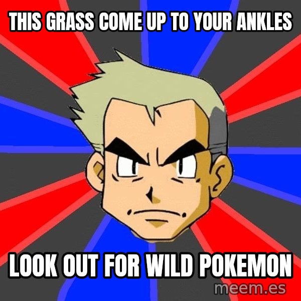 Professor Oak meme: This grass come up to your ankles / look out for wild pokemon