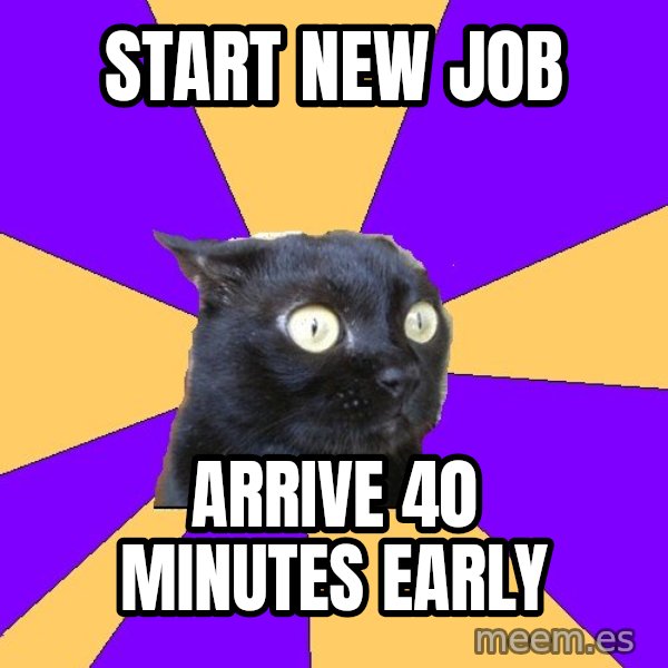 Anxiety Cat meme: Start new job / arrive 40 minutes early