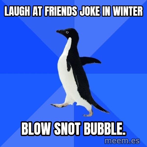 Socially Awkward Penguin meme: laugh at friends joke in winter / Blow snot bubble.