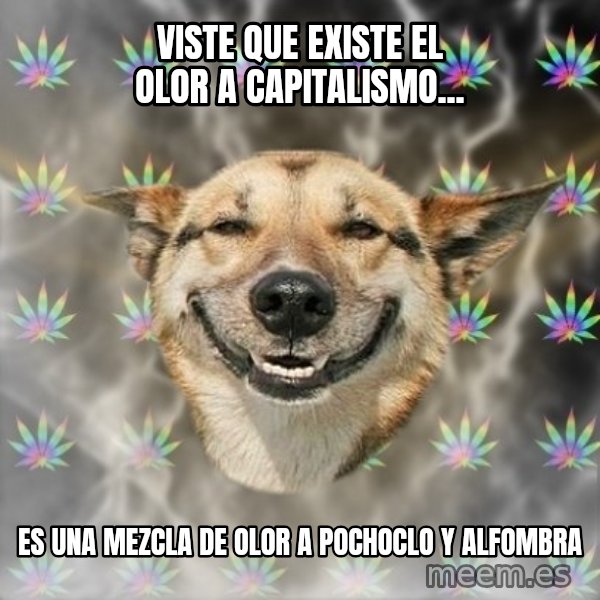 Stoner Dog meme: Viste que existe el olor a capitalismo... / Es una mezcla de olor a pochoclo y alfombra