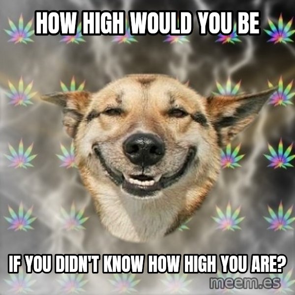 Stoner Dog meme: HOW HIGH WOULD YOU BE / IF YOU DIDN'T KNOW HOW HIGH YOU ARE?