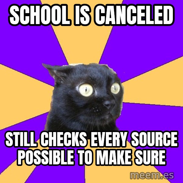 Anxiety Cat meme: School is canceled / still checks every source possible to make sure