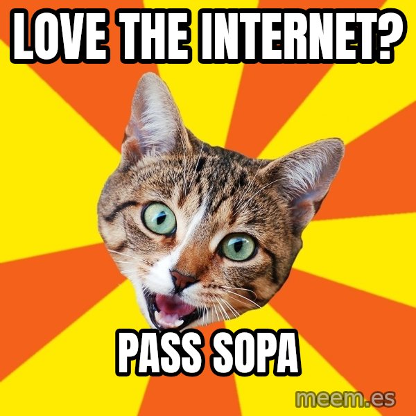 Bad Advice Cat meme: love the internet? / pass sopa