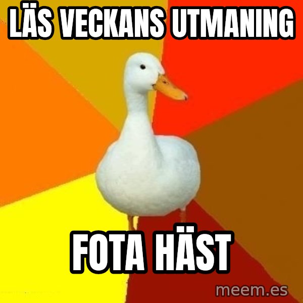 Technologically Impaired Duck meme: läs veckans utmaning / fota häst