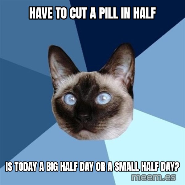 Chronic Illness Cat meme: Have to cut a pill in half / is today a big half day or a small half day?