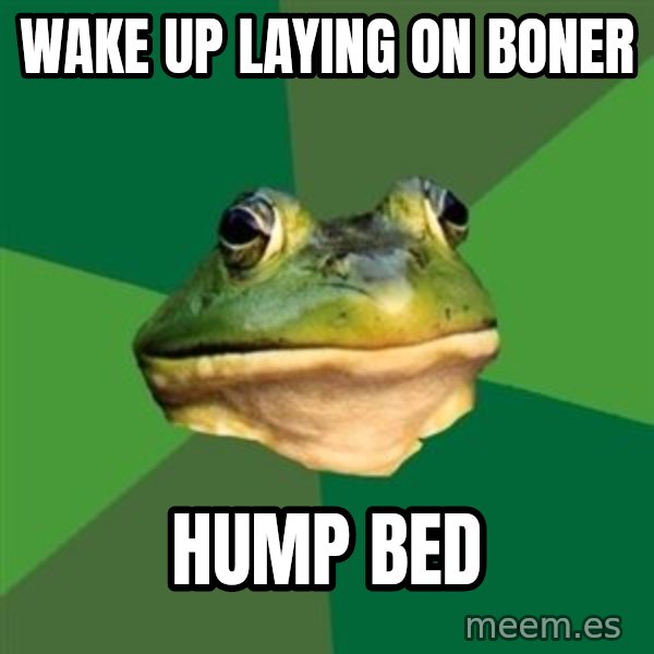 Foul Bachelor Frog meme: wake up laying on boner / hump bed