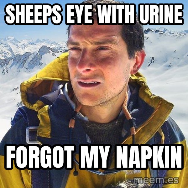 Bear Grylls meme: sheeps eye with urine / forgot my napkin