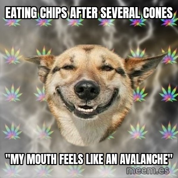 Stoner Dog meme: Eating chips after several cones / "My mouth feels like an avalanche"