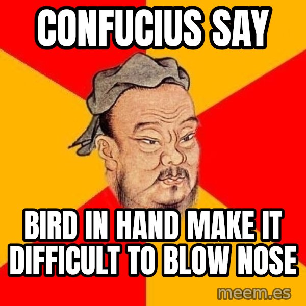 Wise Confucius meme: Confucius say / Bird in hand make it difficult to blow nose