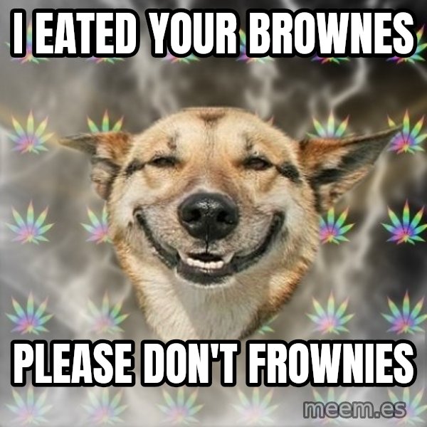 Stoner Dog meme: I eated your brownes / please don't frownies