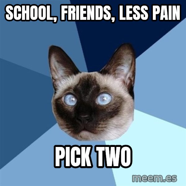 Chronic Illness Cat meme: school, friends, less pain / pick two