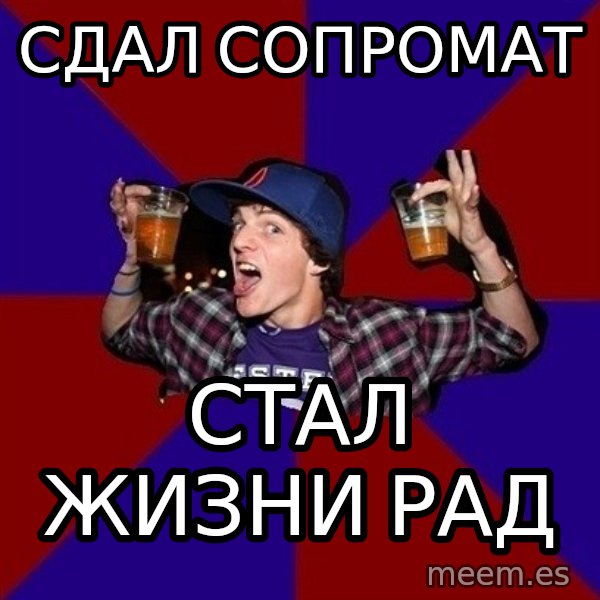 Sunny Student meme: сдал   сопромат / стал жизни   рад