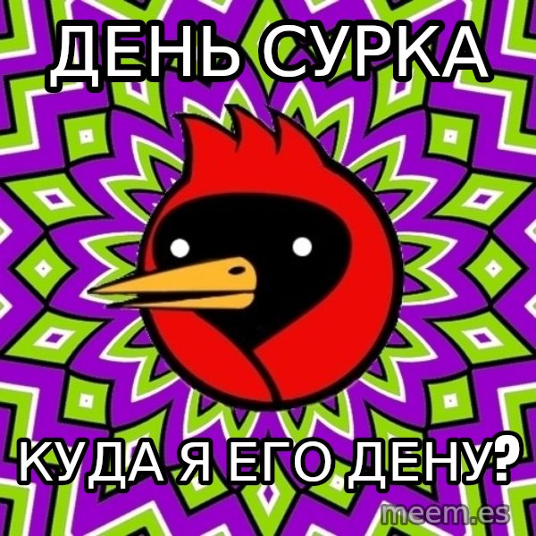 Omsk Crow meme: день сурка / куда я его дену?