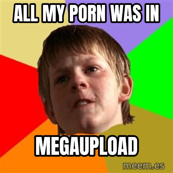 Angry School Boy meme: All my porn was in / megaupload