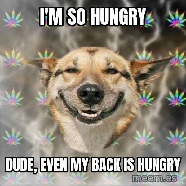 Stoner Dog meme: I'm so hungry / dude, even my back is hungry
