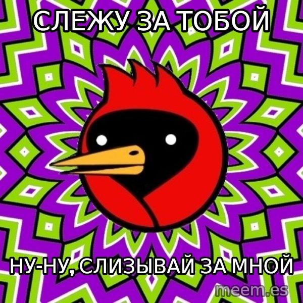 Omsk Crow meme: слежу за тобой / ну-ну, слизывай за мной