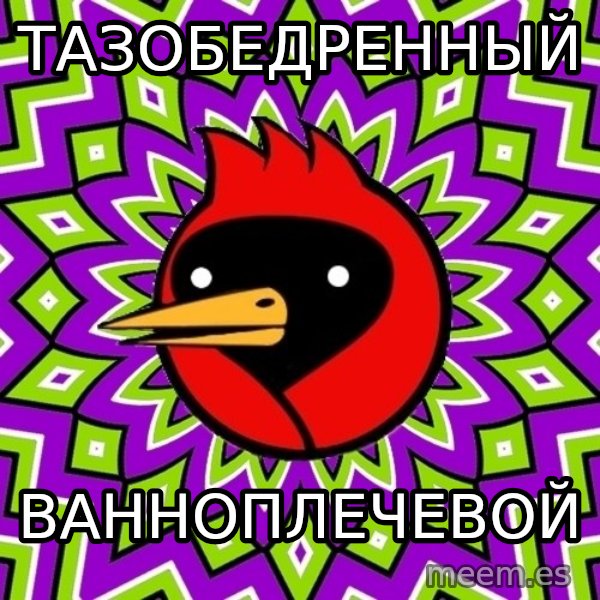 Omsk Crow meme: тазобедренный / ванноплечевой