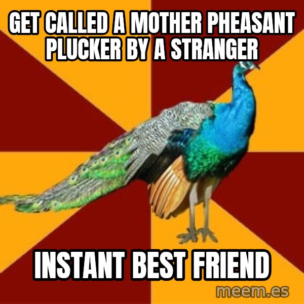 Thespian Peacock meme: Get called a mother pheasant plucker by a stranger / INSTANt best friend