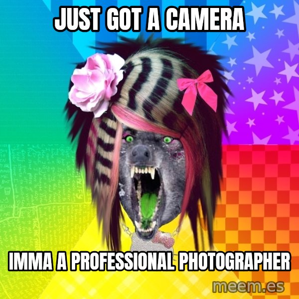Insanity Scene Wolf meme: Just got a camera / Imma a professional photographer