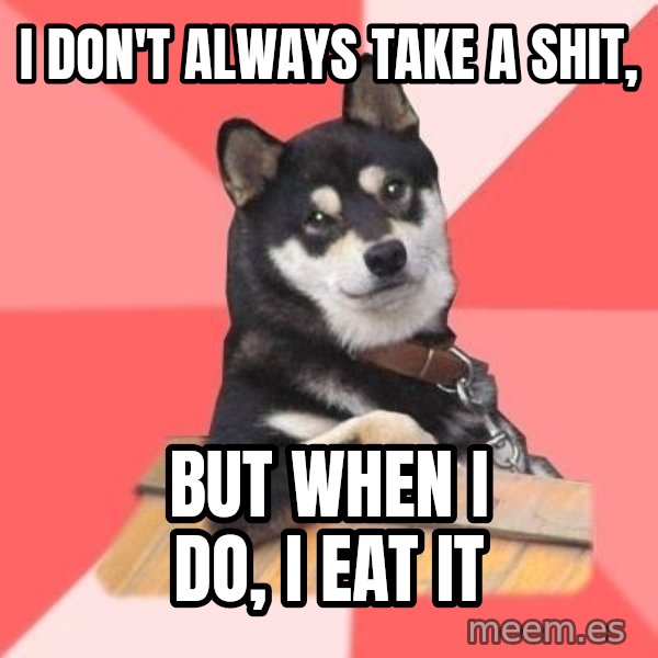 Cool Dog meme: I don't always take a shit, / but when i do, I eat it