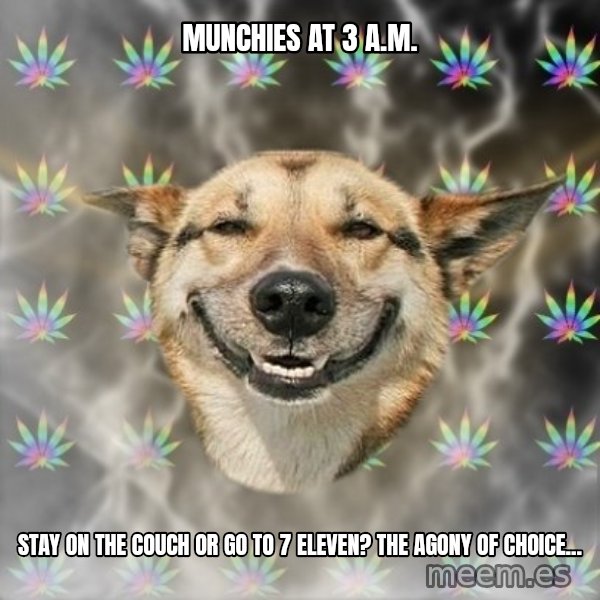 Stoner Dog meme: munchies at 3 a.m. / stay on the couch or go to 7 eleven? The agony of choice...