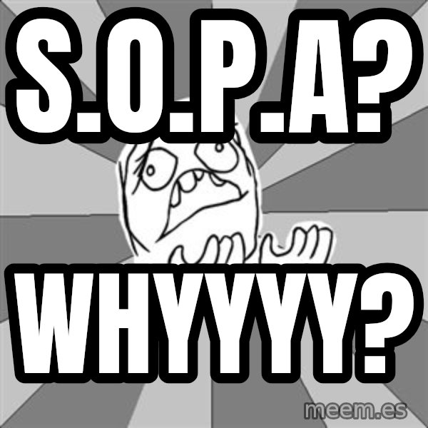 Whyyy??? meme: S.O.P.A? / Whyyyy?