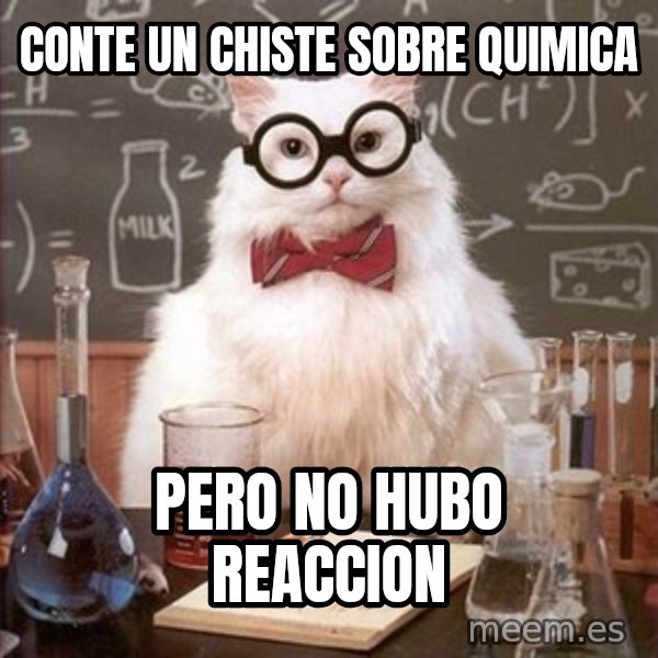 Chemistry Cat meme: conte un chiste sobre quimica / pero no hubo reaccion
