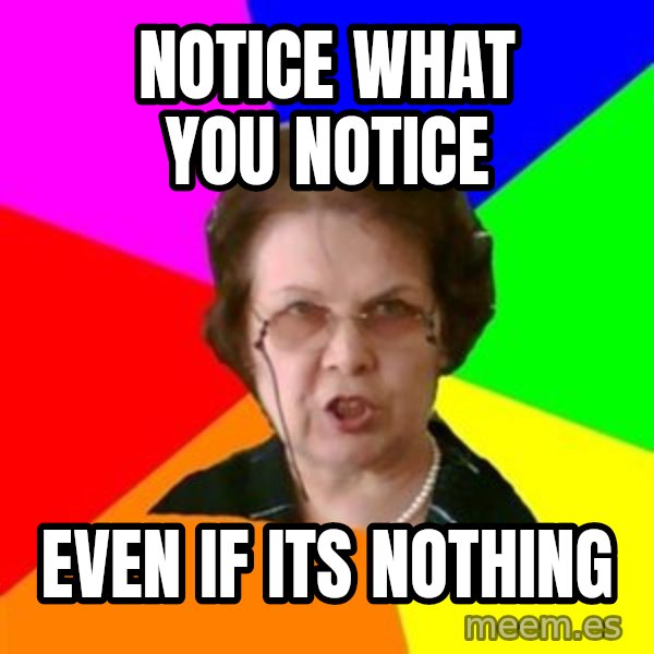teacher meme: notice what you notice / even if its nothing