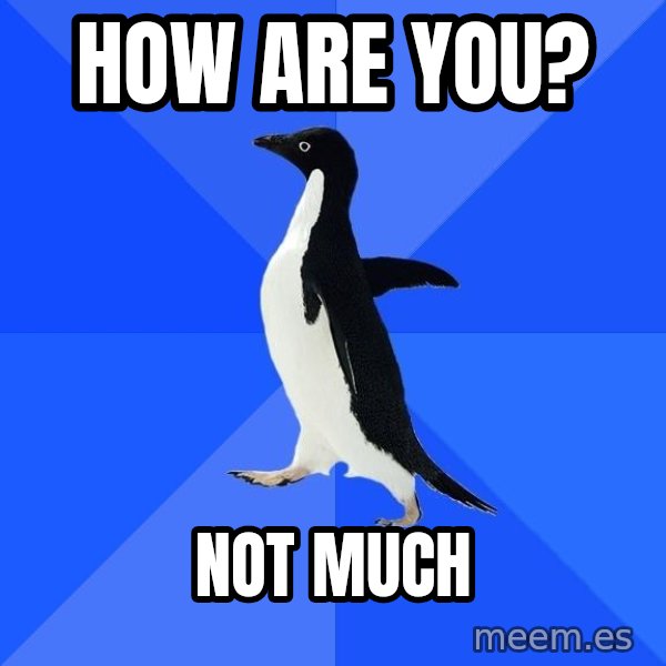 Socially Awkward Penguin meme: How are you? / Not much