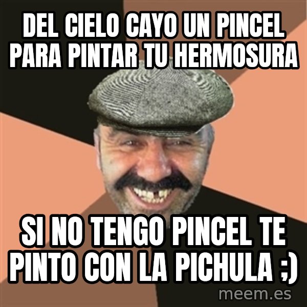 Provincial Man meme: DEL CIELO CAYO UN PINCEL PARA PINTAR TU hERMOSURA / si no tengo pincel te pinto con la pichula ;)