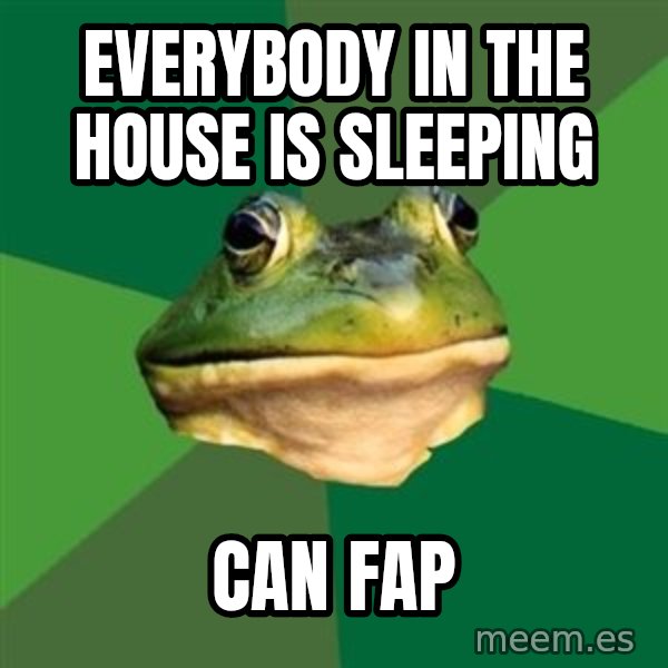 Foul Bachelor Frog meme: everybody in the house is sleeping / can fap