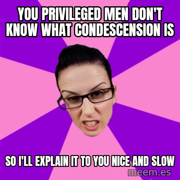 Privilege Denying Feminist meme: you privileged men don't know what condescension is / so I'll explain it to you nice and slow