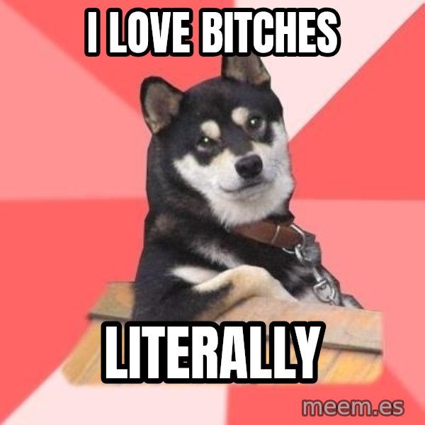 Cool Dog meme: i love bitches / literally