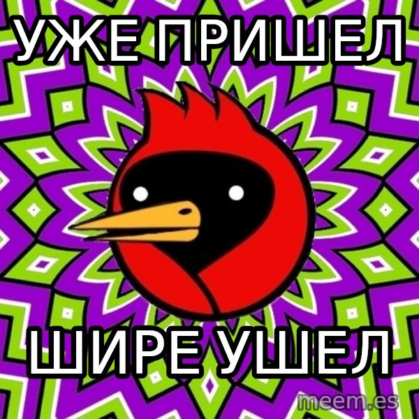Omsk Crow meme: уже пришел / шире ушеЛ