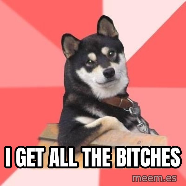 Cool Dog meme: I get all the bitches