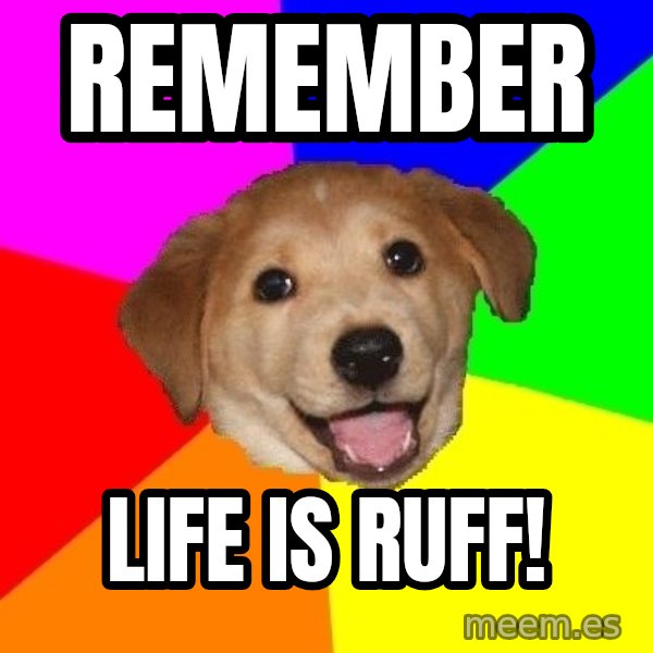 Advice Dog meme: remember / life is ruff!