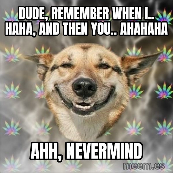 Stoner Dog meme: dude, remember when i.. haha, and then you.. ahahaha / ahh, nevermind