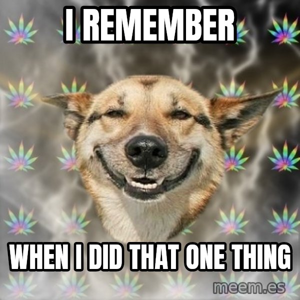 Stoner Dog meme: I Remember / when i did that one thing