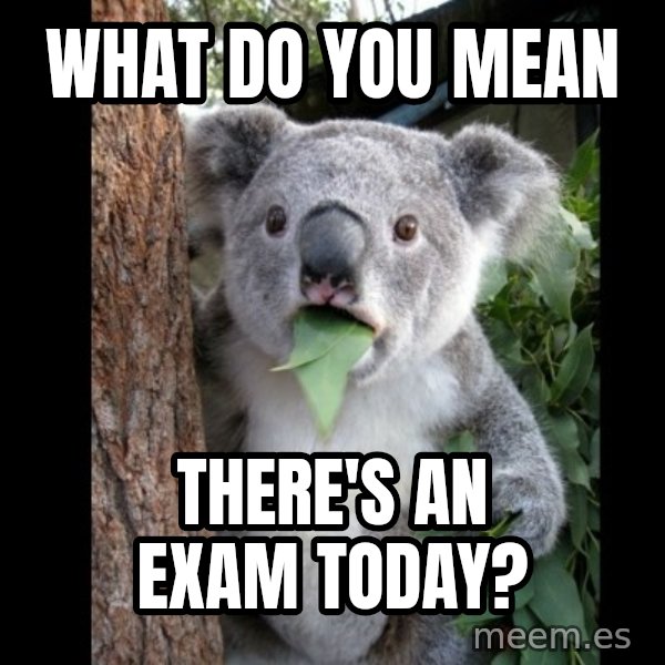 Koala can't believe it meme: What do you mean / there's an exam today?