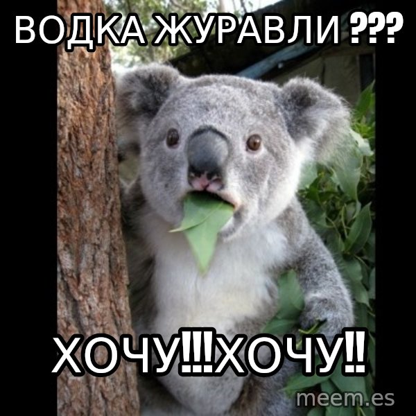 Koala can't believe it meme: водка журавли ??? / хочу!!!хочу!!