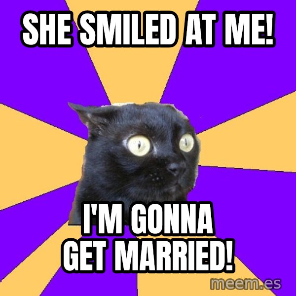 Anxiety Cat meme: She smiled at me! / i'm gonna get married!