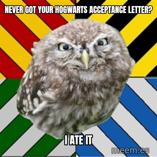 JEALOUS POTTEROMAN meme: never got your hogwarts acceptance letter? / i ate it