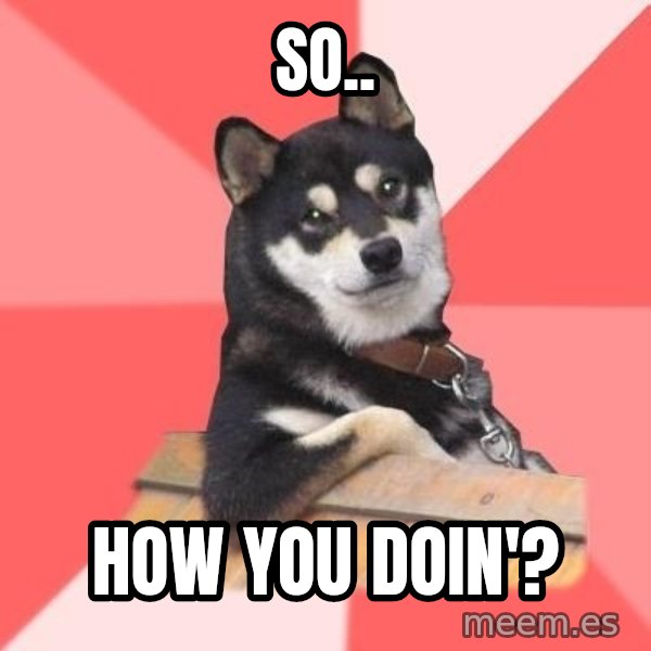 Cool Dog meme: so.. / how you doin'?