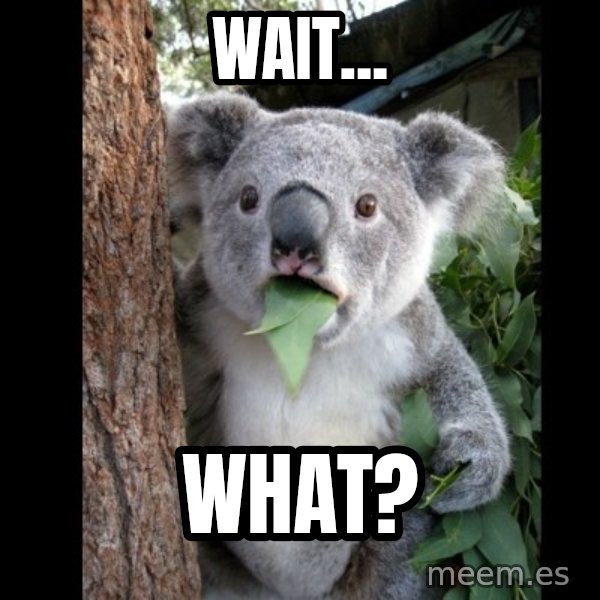Koala can't believe it meme: Wait... / what?