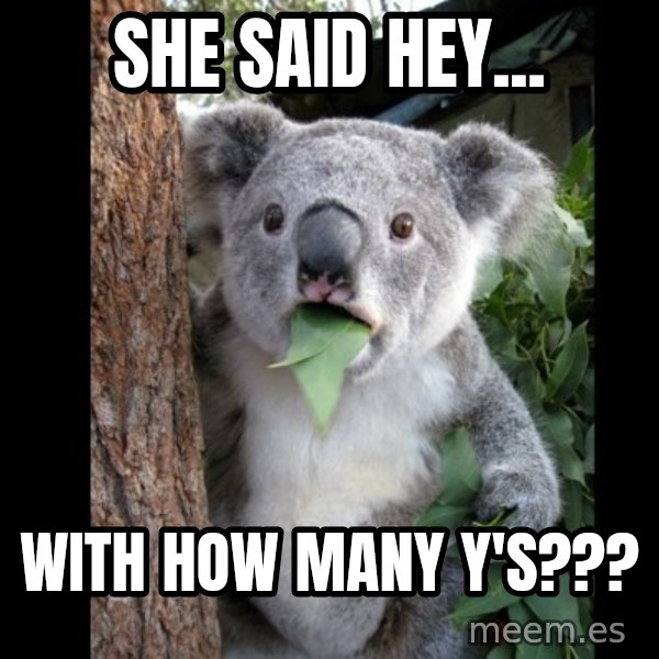 Koala can't believe it meme: she said hey... / with how many y's???