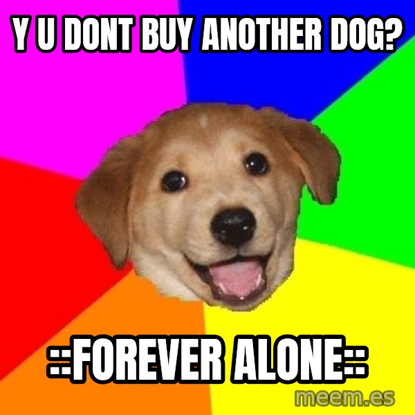 Advice Dog meme: Y U DONT BUY ANOTHER DOG? / ::forever alone::