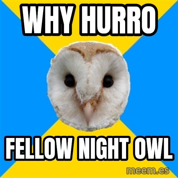 Bipolar Owl meme: Why hurro / fellow night owl