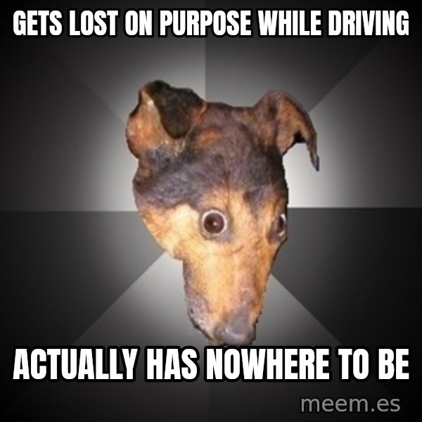 Depression Dog meme: gets lost on purpose while driving / actually has nowhere to be