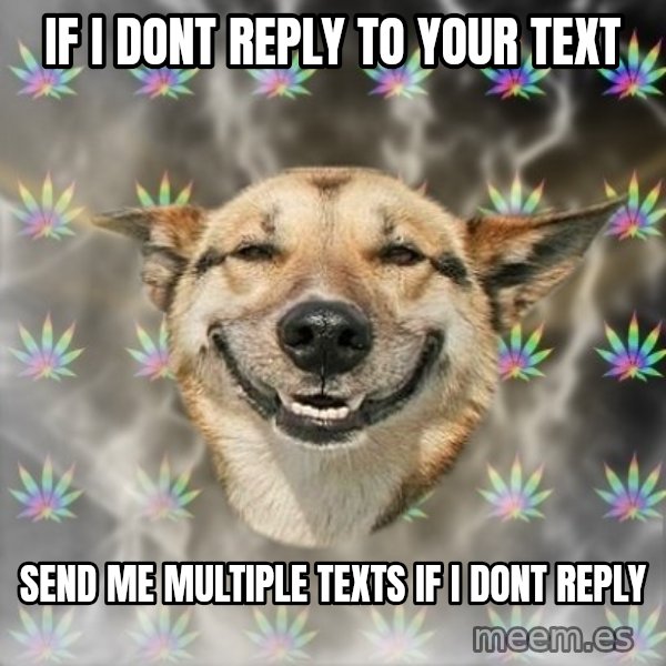 Stoner Dog meme: if i dont reply to your text / send me multiple texts if i dont reply