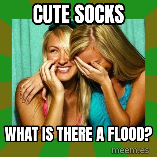 Laughing Girls  meme: cute socks / what is there a flood?